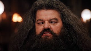 MAD HAGRID 2 [upl. by Alyose]