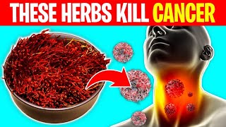 8 Powerful Herbs That Prevent And Kill Cancer [upl. by Carlota]