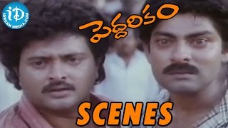 Peddarikam Movie Scenes  Vijayakumar And Rami Reddy Thrash Jagapathi Babu In Public  Sukanya [upl. by Lazare232]