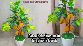 DIY tutorial miniatur pohon belimbing dari plastik kresek [upl. by Adlay]