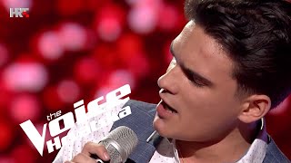 Martin Kosovec quotIll Never Fall In Love Againquot  Nokaut 3  The Voice Hrvatska  Sezona 4 [upl. by Atteselrahc]