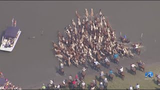 Chincoteague hosting 99th annual Pony Swim on Wednesday [upl. by Uhsoj]