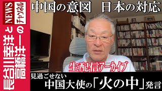 【見過ごせぬ中国大使の「火の中」発言】『中国の意図 日本の対応』 [upl. by Halona]