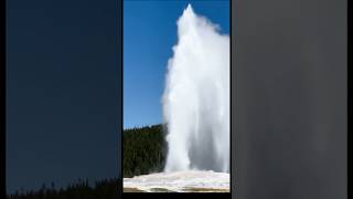 Amazing Old Faithful Geyser shortvideo yellowstone [upl. by Enytnoel]