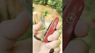 Victorinox Compact [upl. by Ecirted934]