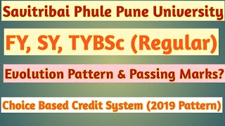 Passing Criteria of Bsc Regular 2019 Pattern FY Sy Tybsc Exam  Pune University [upl. by Alrats]