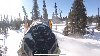 2022 skidoo freeride 146 Wheelie through trees [upl. by Yrian]