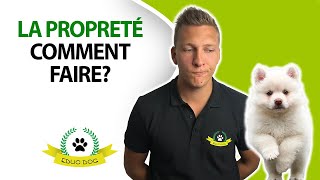 3 méthodes FACILES pour apprendre la propreté à un chiot ou un chien [upl. by Ainoz550]