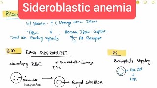 Sideroblastic anemia haematology 36 First Aid USMLE Step 1 in UrduHindi [upl. by Myrta]