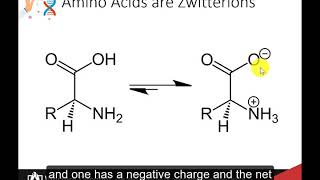 CH450 Chapter 21 Amino Acid Structure and Properties [upl. by Padget]