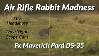 Air Rifle Rabbit Hunting  FX Maverick  Pard DS35  Pest Control  30 Headshots  Shooting Rabbits [upl. by Nerhe]