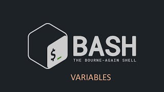 3Bash Scripting  Variables [upl. by Volnay]