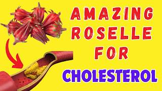 How Roselle Can Help Lower Your Cholesterol Levels [upl. by Atinek677]