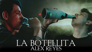 Alex Reyes  LA BOTELLITA Cap1 [upl. by Ailasor]