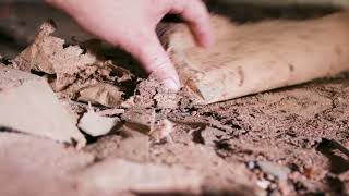 Termite Inspection Tips The Crawlspace Floor [upl. by Arik]