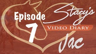 Stacys Video Diary Jac Episode 7Fourth Day Part 1 How a horse asks a question [upl. by Eselehs340]