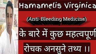 Hamamelis Virginica Q  Anti Bleeding Homoeopathic Best Medicine Explain in Hindi [upl. by Toile405]