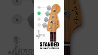 How To Tune a Bass Guitar Stranded  4 Strings By ChamisBass  fender chamisbass shorts [upl. by Ecirtnahc295]