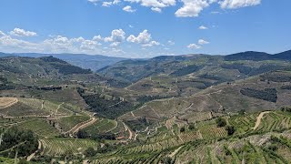 Douro Valley Wine Tour from Porto Portugal [upl. by Sedecram104]