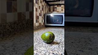 avocado as infants first food heathylifestyle viral reels cute baby fruits babyfood shorts [upl. by Acessej17]