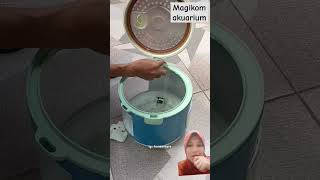 Magikom aqua ikan aqurium ikanhias aquascape aquarium fish barangunik diy [upl. by Assital]