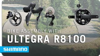 BIKE ASSEMBLY FEAT ULTEGRA R8100 GROUPSET  SHIMANO [upl. by Eninnej]