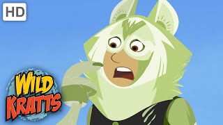 Wild Kratts  Arctic Wolves Go Hunting  Animals [upl. by Enileve678]