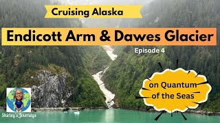 Endicott Arm amp Dawes Glacier  Scenic Sailing  Dont Sleep Through It [upl. by Nohsram120]