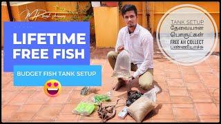 Native fish tank setup 😱collecting needed resources for tank setuptamilfishingkolathuraquarium🔥 [upl. by Fatsug]