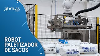 Instalación paletizadora de sacos diseñada en INOX [upl. by Condon]