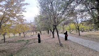 Afghanistan babar Garden If you want to visit AfghanistanContact GuideinAfghanistan [upl. by Pegeen]