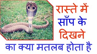 रास्ते में साँप के दिखने का मतलब  Raste Me Saap ka Dikhana  Meaning of Seeing a Snake on the Way [upl. by Ennairak]