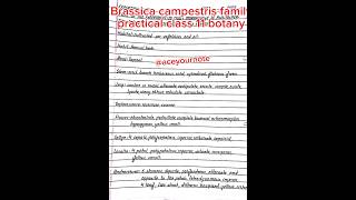 Brassica campestris family botany practical class 11 ytshorts shorts biology aceyournote [upl. by Cummins]