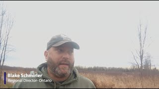 November Migration Update 2024  Ontario Canada [upl. by Repsag]