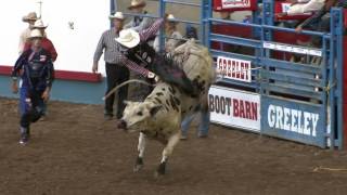 2016 Greeley Stampede PRCA Xtreme Bulls Highlights [upl. by Karola]