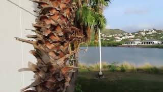 Royal St Kitts Hotel St Kitts  a Walkthrough [upl. by Persse199]