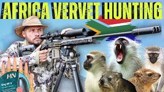 VERVET MONKEY HUNTING IN AFRICA I AIR GUN HUNTING MONKEYS WITH FX IMPACT AND CENTERFIRE [upl. by Anastice]