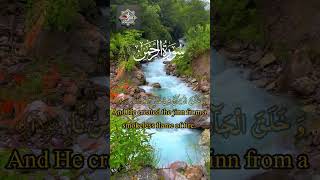 Surah Ar Rahman  Beautiful heart touching Quran [upl. by Tacy]