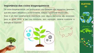 AULA 11  CICLOS BIOGEOQUÍMICOS  2° ANO  2024 [upl. by Ahseyi]