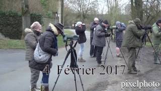 Harchie 4 Févier 2017 HD [upl. by Teeter518]