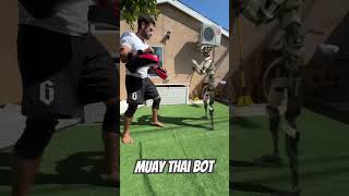 Muay Thai Bot [upl. by Flip]