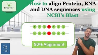 How to align Protein RNA and DNA sequences using NCBIs BLAST protein bioinformatics RNA DNA [upl. by Kwok663]