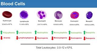 Introduction to Clinical Lab Values Blood Cells and Electrolytes [upl. by Rialc800]