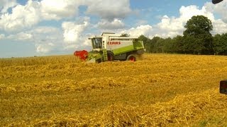 Moisson 2013  Harvest 2013  Claas Lexion  Gopro HD [upl. by Agler746]