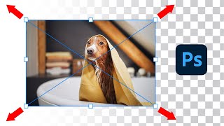 How To Resize Layers In Photoshop Without Losing Quality [upl. by Gaby856]