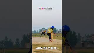 Classic Shot of the day 😯    10  cricket bowlingtips battingtips coverdrive [upl. by Thamos]