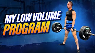 My NEW Low Volume Hypertrophy Program Full Body [upl. by Iblok840]