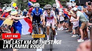 Last Km  Stage 20  Tour de France 2024 [upl. by Okramed]