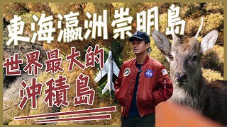 【上海】秋天來絕對美爆你！東海瀛洲崇明島！中國大陸最大的河口沖積島！ [upl. by Nyrehtac977]