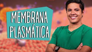 MEMBRANA PLASMÁTICA  CITOLOGIA  Estrutura  Prof Kennedy Ramos [upl. by Anileuqcaj]